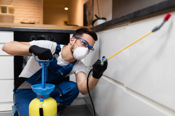 Best Exterminator Services  in Lexington, MO