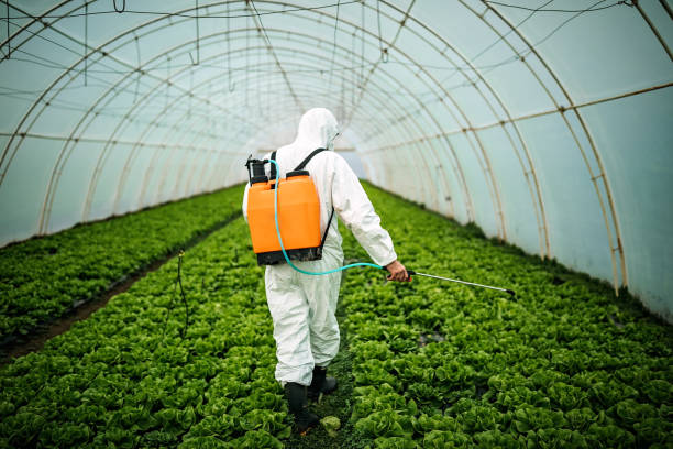 Best Residential Pest Control  in Lexington, MO