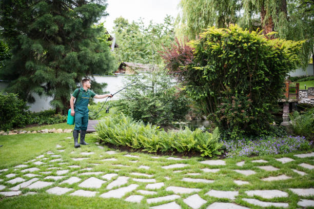 Best Wasp Removal Services  in Lexington, MO