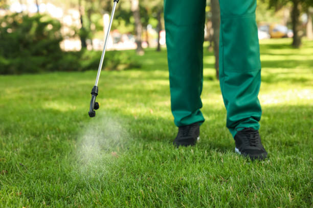 Best Pest Prevention Services  in Lexington, MO