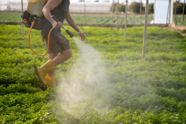 Best Exterminator Services  in Lexington, MO