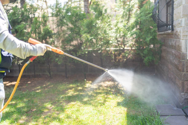 Best Affordable Pest Control Services  in Lexington, MO