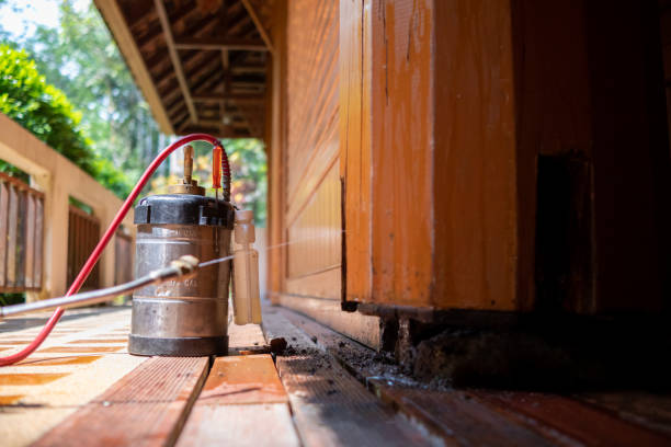 Best Best Pest Control Companies  in Lexington, MO