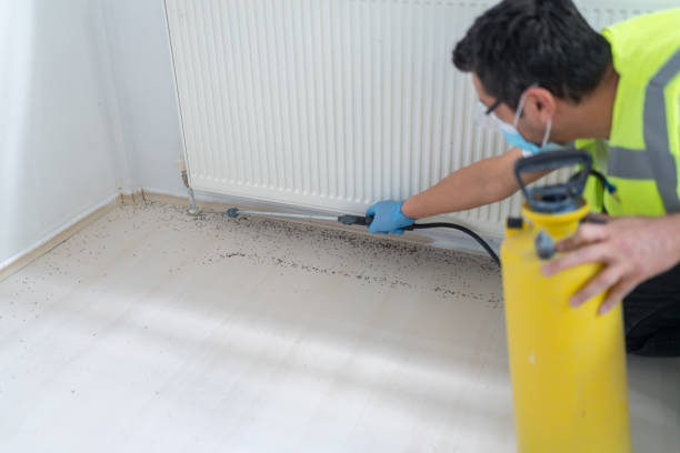 Best Cockroach Control Services  in Lexington, MO